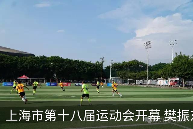 上海市第十八届运动会开幕 樊振东、吴敏霞等体坛名将助阵